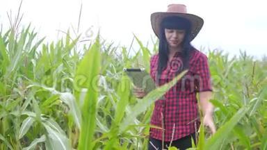智慧<strong>生态</strong>农业生活方式<strong>养殖</strong>理念.. 农民女孩植物研究员在检查时使用和触摸平板电脑
